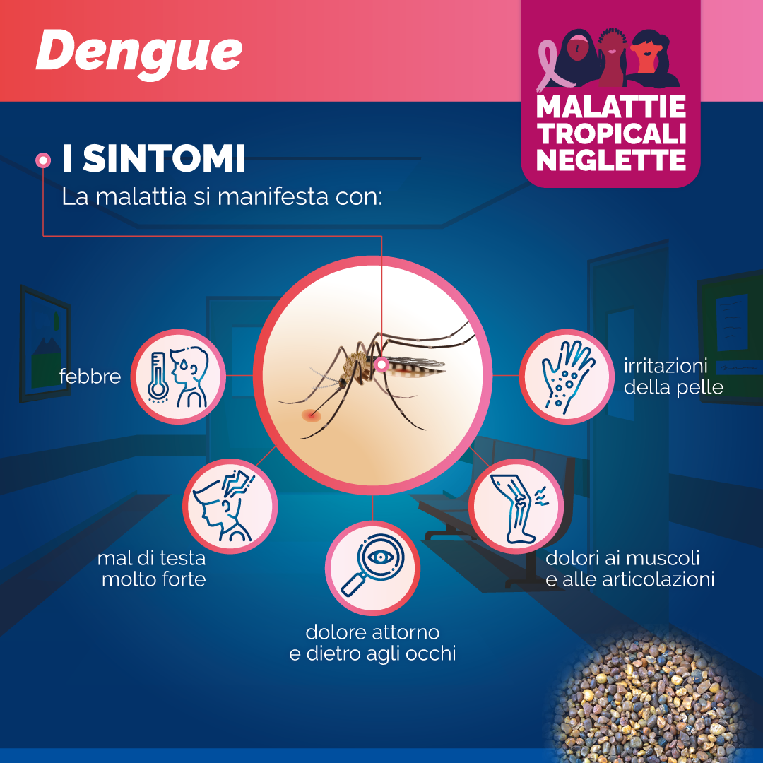 dengue2